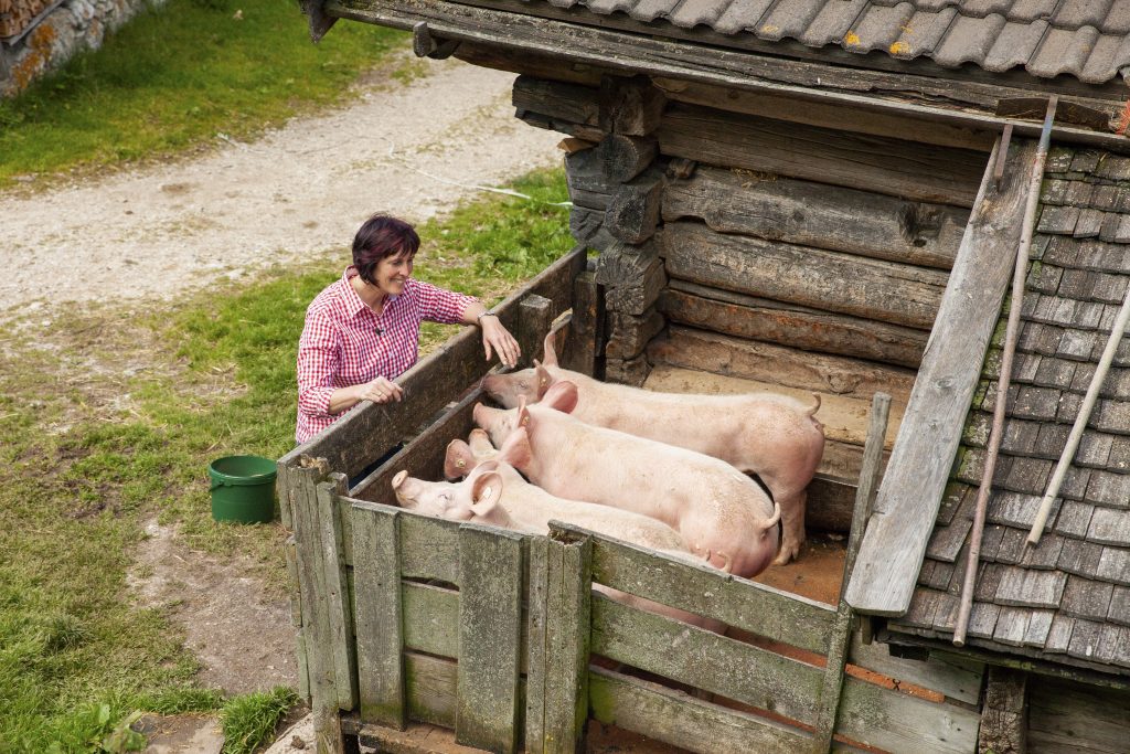 Auf der Dalfaz Alm verbringen Mensch und Tier den Sommer Bäurin und Sennerin Renate Moser bei der Arbeit. © ServusTV - DMG