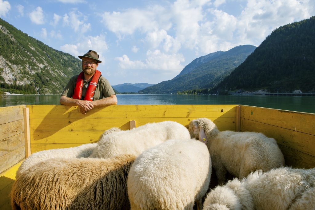 Einen Almauftrieb mit dem Floß gibt es auch nicht überall Am Achensee werden die Schafe mitunter auch auf dem Wasserweg auf die Alm gebracht. © ServusTV - DMG