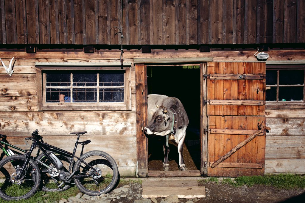 Vélo électrique au Tyrol