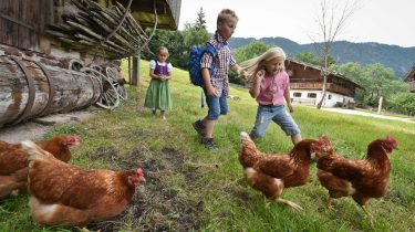 Urlaub am Bauernhof im Alpbachtal