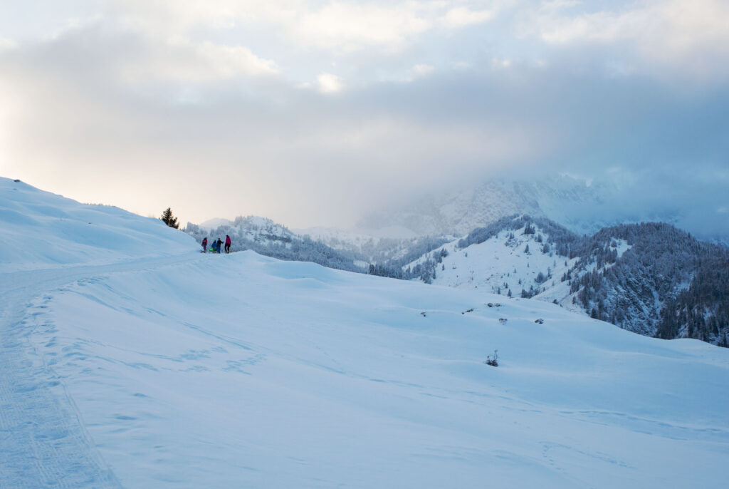Luge à l'alpage de Bacheralm à Kirchdorf in Tirol