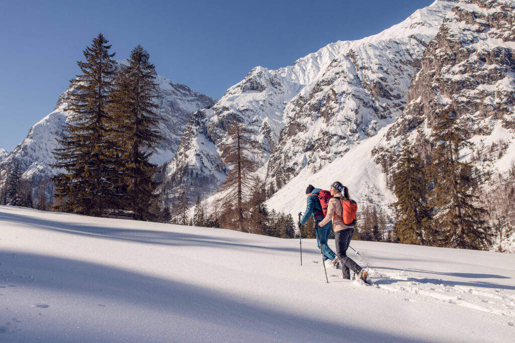 Im Naturpark Karwendel kann man die winterliche Flora und Fauna entdecken.