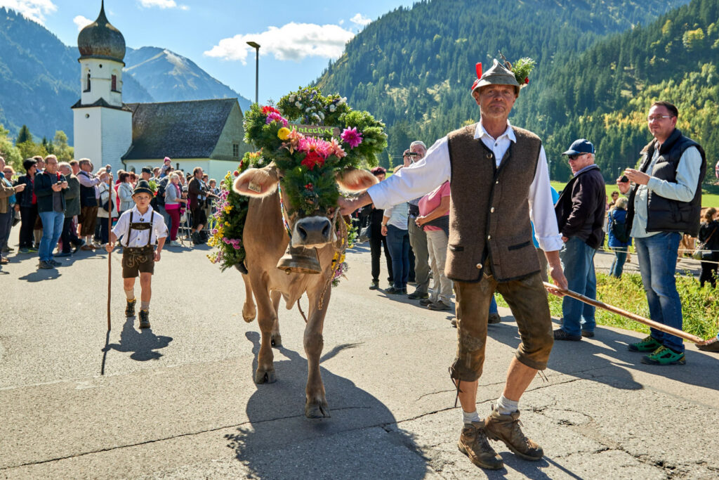 Almabtrieb Tannheimer Tal