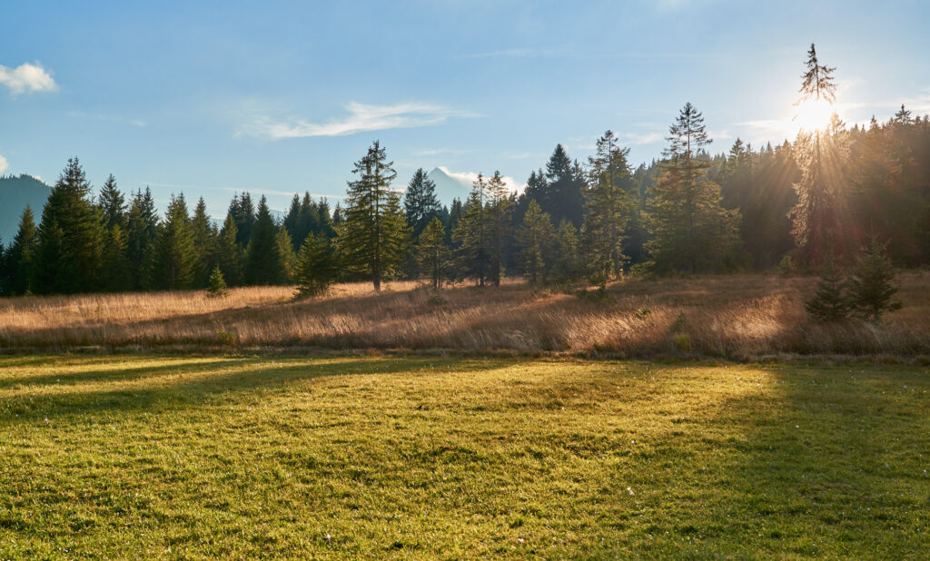 Herbstzauber im Tannheimer Tal