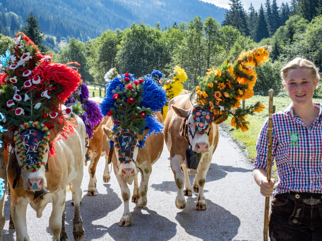 Almabtrieb von der Schönangeralm