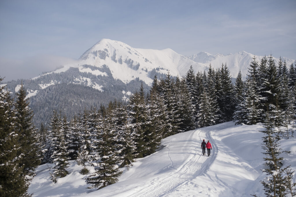 Winterwanderung Ehenbichler Alm