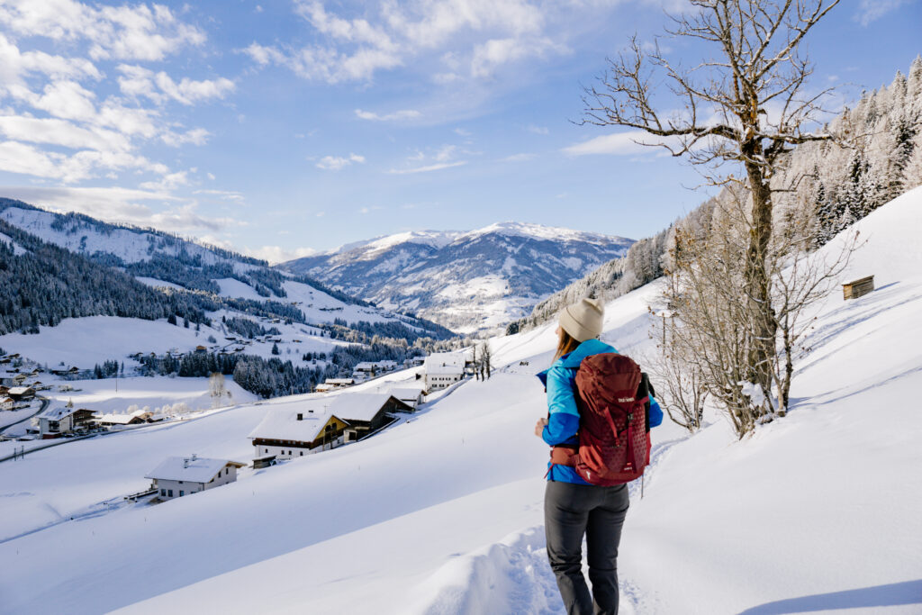 Winterwanderdorf Kartitsch - Künstlerweg Oswald Kollreider