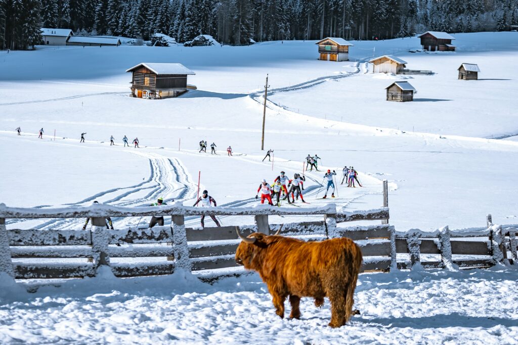 Dolomitenlauf in traditioneller Natur- und Kulturlandschaft