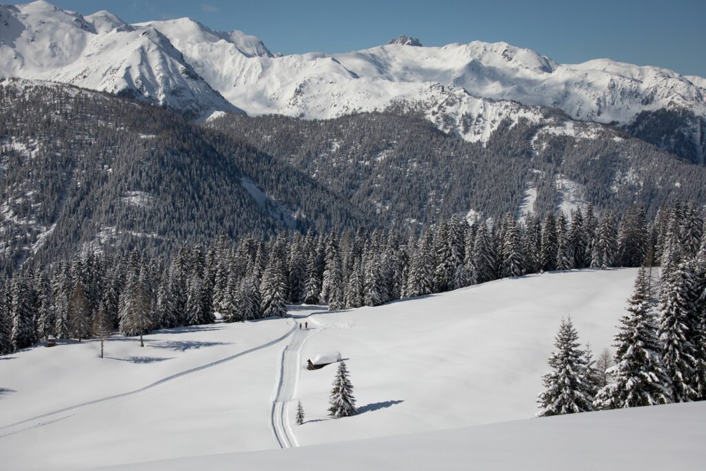 Winterwandern in Kartitsch