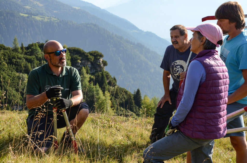 Im Rahmen der Freiwilligenprojekte der Schule der Alm erhalten Teilnehmer fachkundige Anleitung zur Alm- und Bergwiesenpflege – und leisten damit einen aktiven Beitrag zum Erhalt der Kulturlandschaft.