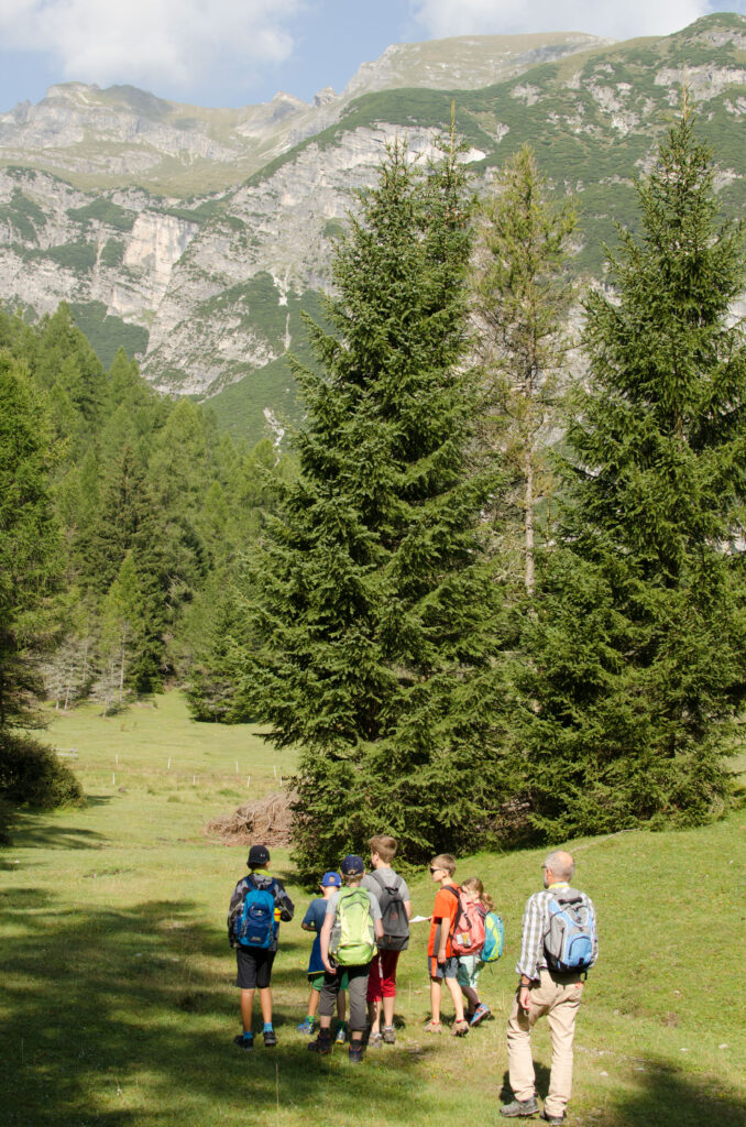 Bei geführten Gesundheitswanderungen entdecken Kinder und Erwachsene die Natur des Wipptals – mit Bewegung, frischer Bergluft und eindrucksvollen Momenten. Die zertifizierten Gesundheitswanderführerinnen sorgen dabei für ein sicheres und lehrreiches Naturerlebnis für alle Altersgruppen.