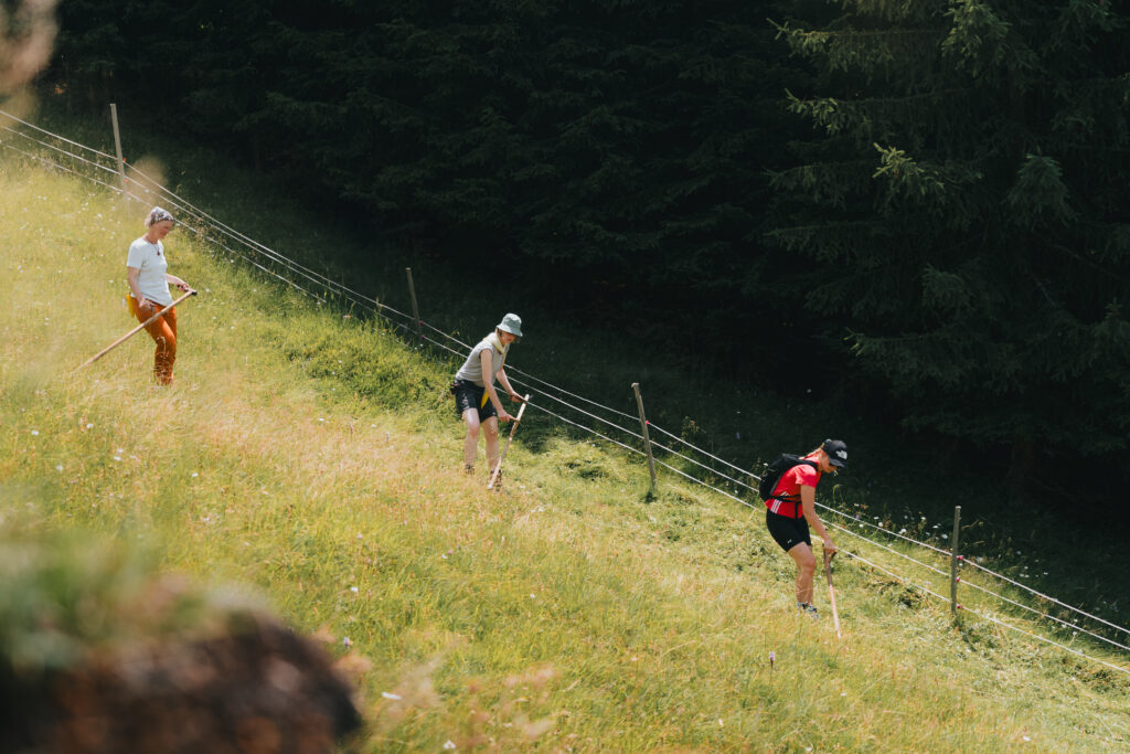 Grundkurs - Schule der Alm