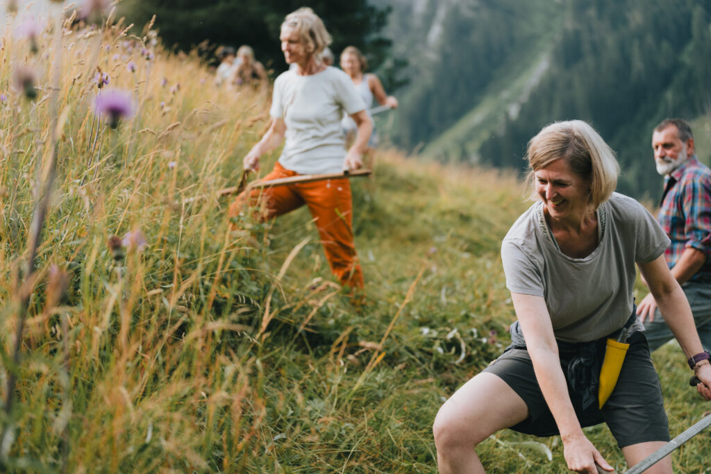 Ob Almtage, Klettersteige oder Bogenschießen – im Wipptal stärken vielfältige Rahmenprogramme den Teamgeist und machen Seminare zu echten Gemeinschaftserlebnissen.