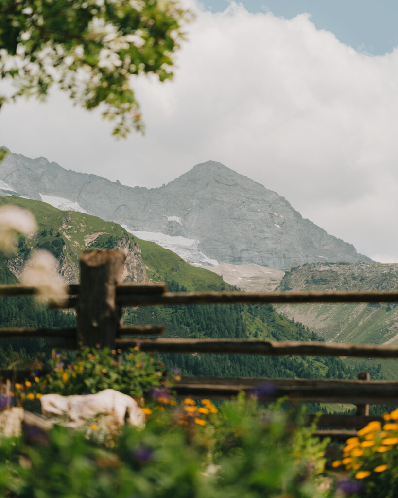 Am 2. Österreichischen Mühlentag wird die Schnattermühle im Bergsteigerdorf Schmirn nicht nur zur Begegnungsstätte mit Geschichte – auch die umliegende Berglandschaft lädt zum Verweilen und Staunen ein.
