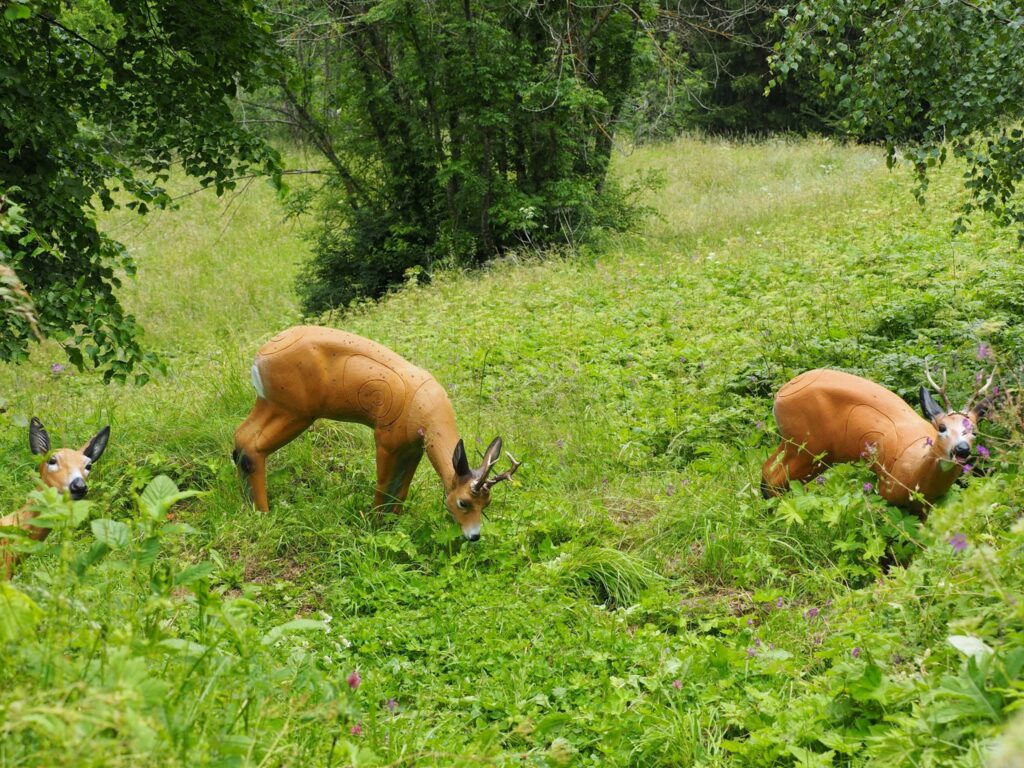 Rehe im 3D-Parcours Wipptal