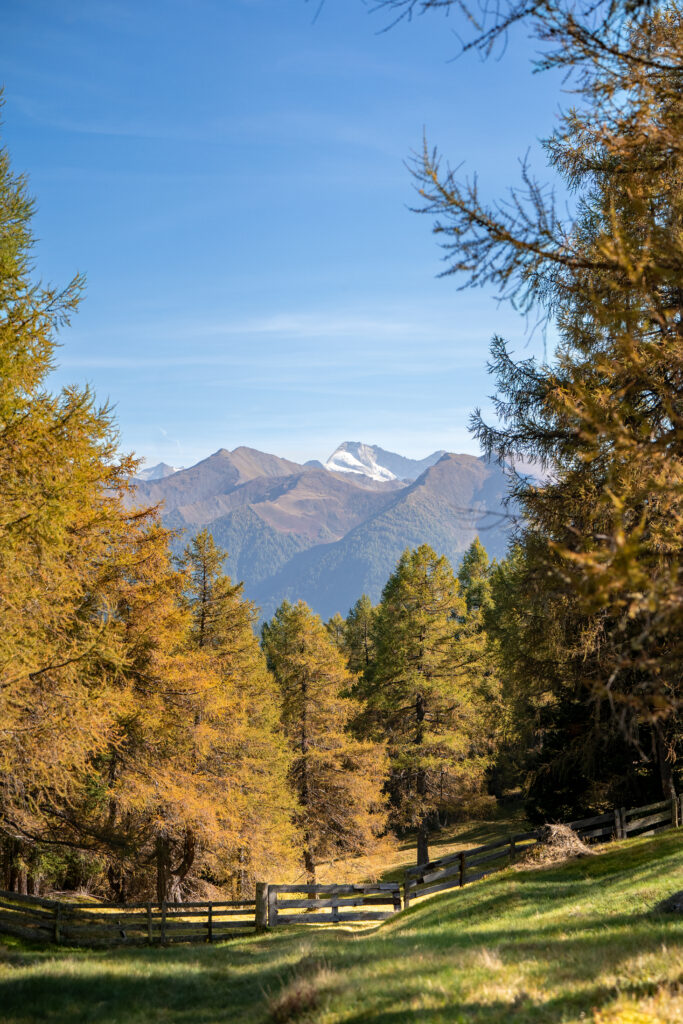 Herfst in Tirol - Eulenwiesen