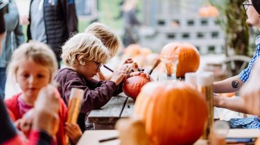 Eine Gruppe von Kindern sitzt an einem Tisch im Freien und verziert Kürbisse mit Filzstiften. Im Hintergrund sind weitere Kürbisse und Erwachsene zu sehen, die ebenfalls beschäftigt sind.