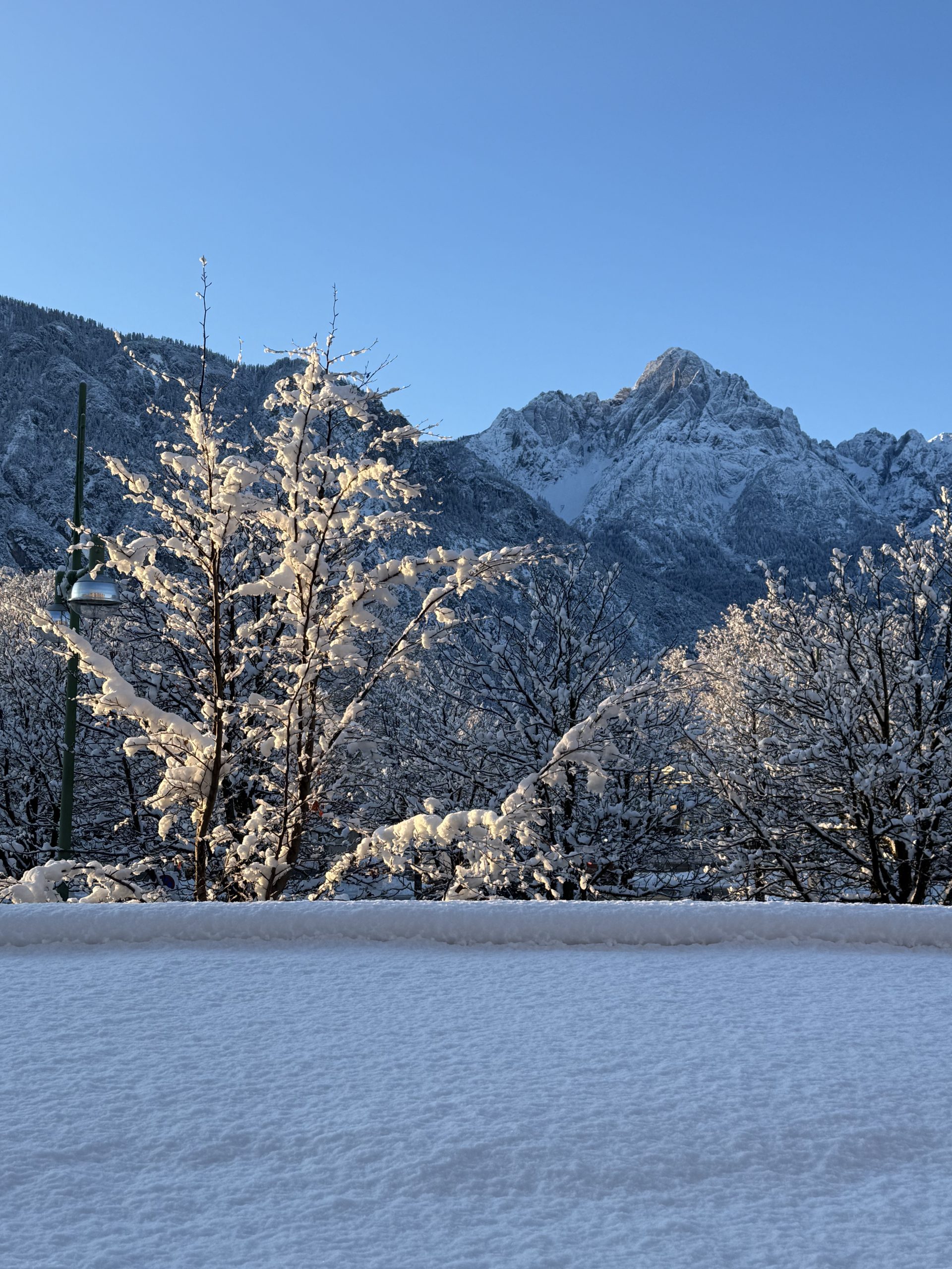 Neuschnee in Osttirol