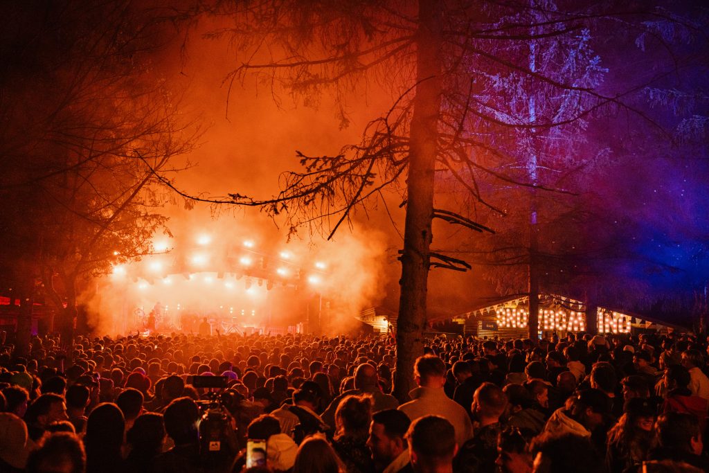 Snowbombing Forest Party