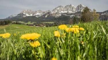 St. Johanner Osterwochen 2026