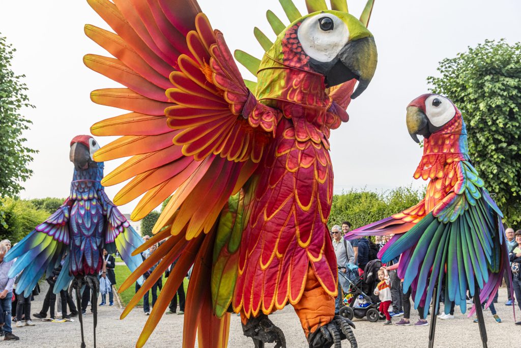 Walking Act Papagalli