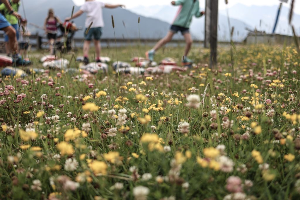 Spiel, Bewegung und Naturerlebnis stehen bei den Natur-Abenteuerkids in St. Michael im Mittelpunkt
