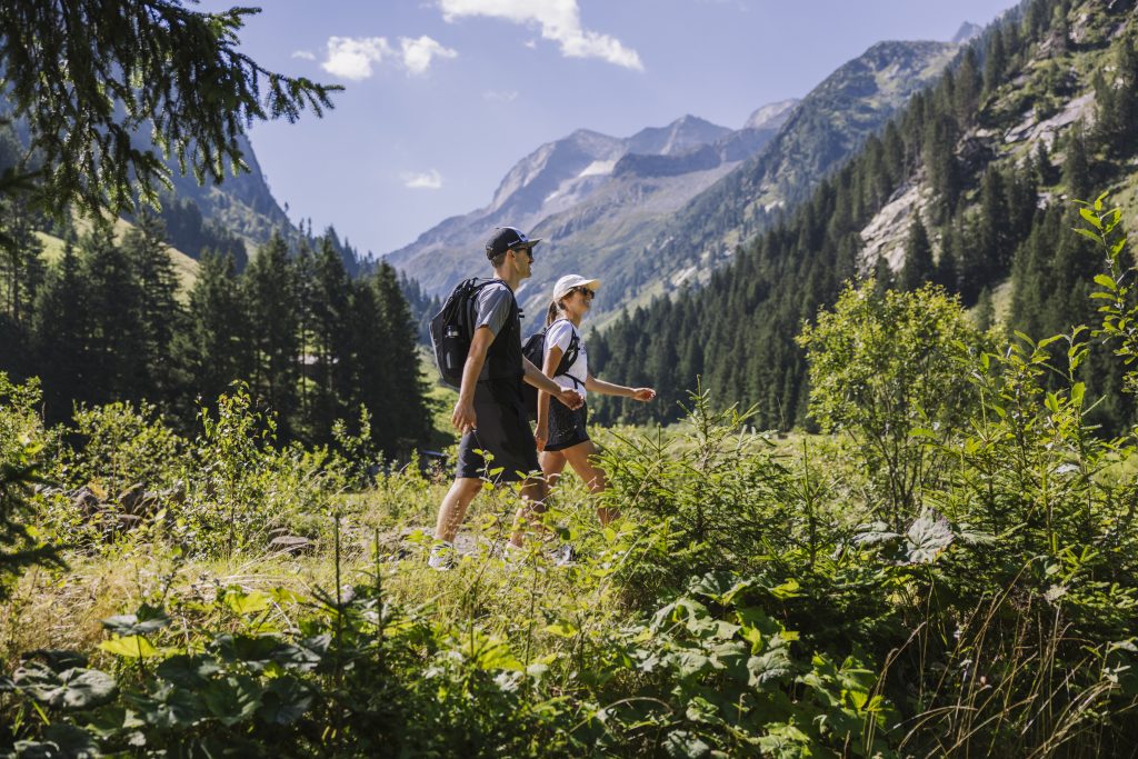 Wandern in Mayrhofen-Hippach